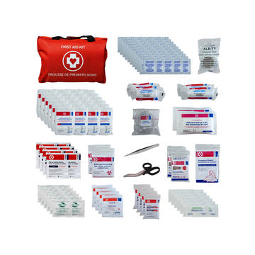 Type 2 Basic First Aid Kit - Large (51-100)